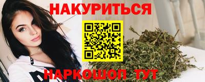 прущие грибы Шелехов