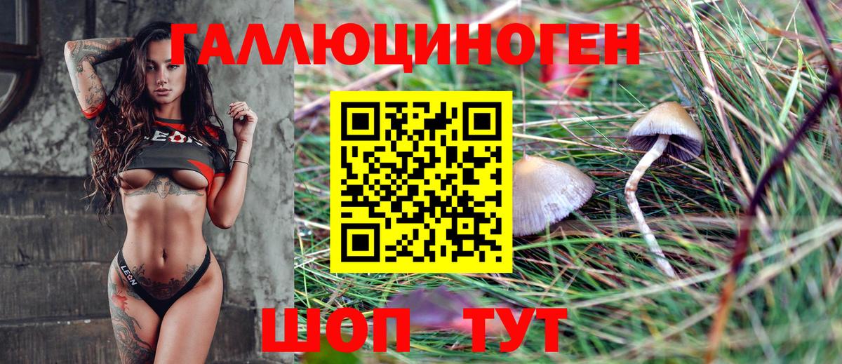 Псилоцибиновые грибы GOLDEN TEACHER  Галлюциногенные грибы MAGIC MUSHROOMS  Вход с VPN  Баксан 